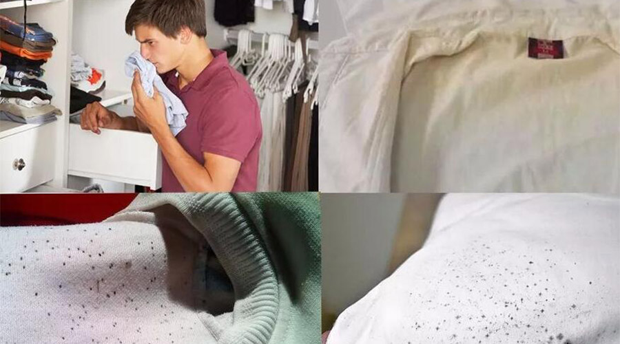 衣服護理小常識：潮濕天衣物有霉味不宜穿  該怎么辦？