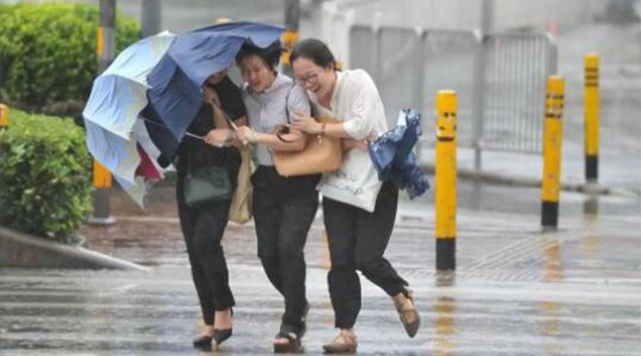 家有衣物烘干機(jī)，無懼臺(tái)風(fēng)天吹走和淋濕衣物！