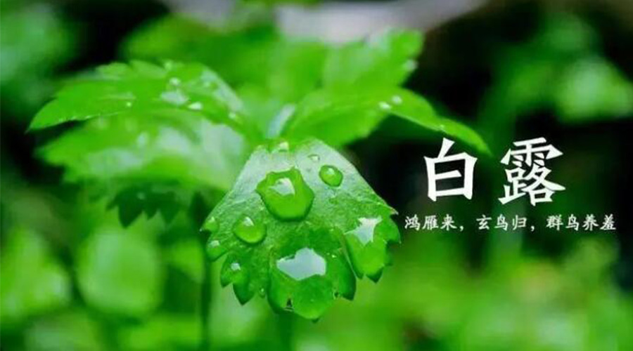 白露時(shí)節(jié)！金環(huán)電器提醒大家要注意的事項(xiàng)
