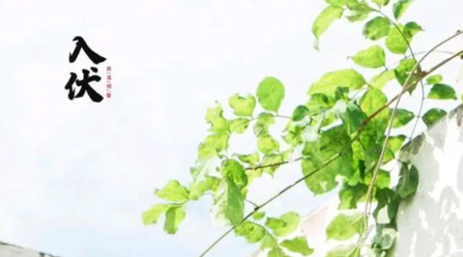 初伏時(shí)節(jié)！金環(huán)電器提醒大家要注意的事項(xiàng)