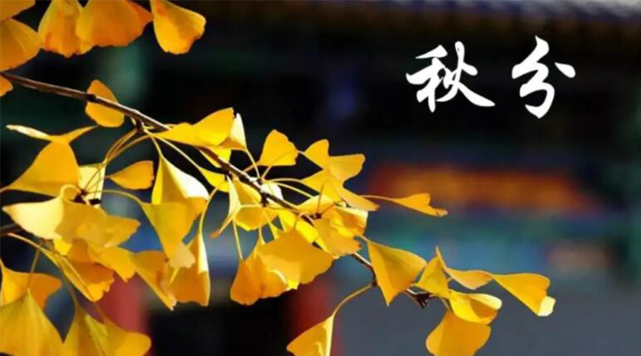 秋分時節(jié)！金環(huán)電器提醒大家要注意的事項