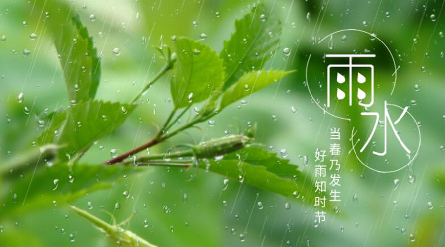 雨水時(shí)節(jié)！金環(huán)電器提醒大家要注意的事項(xiàng)
