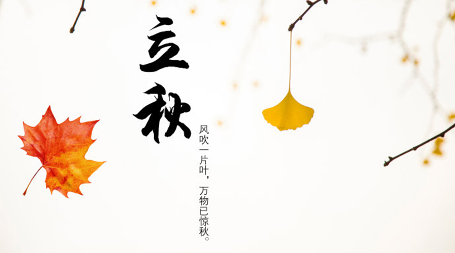 立秋時(shí)節(jié)！金環(huán)電器提醒大家要注意這些事項(xiàng)